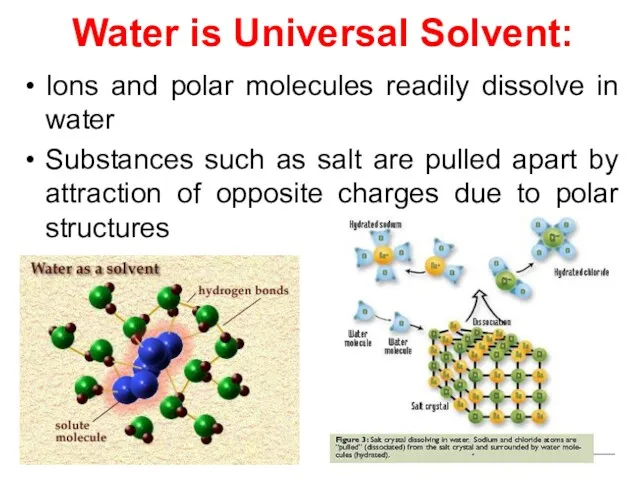 Water is Universal Solvent: Ions and polar molecules readily dissolve