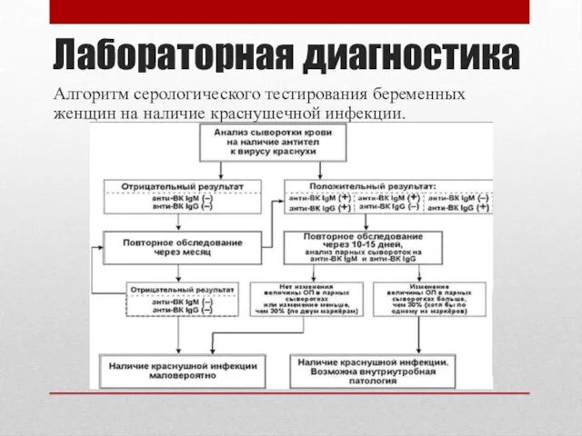 Лабораторная диагностика Алгоритм серологического тестирования беременных женщин на наличие краснушечной инфекции.