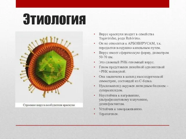 Этиология Вирус краснухи входит в семейства Togaviridae, рода Rubivirus. Он