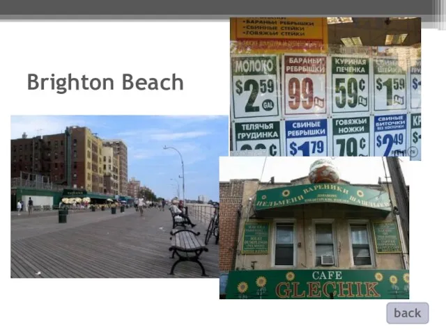 Brighton Beach back