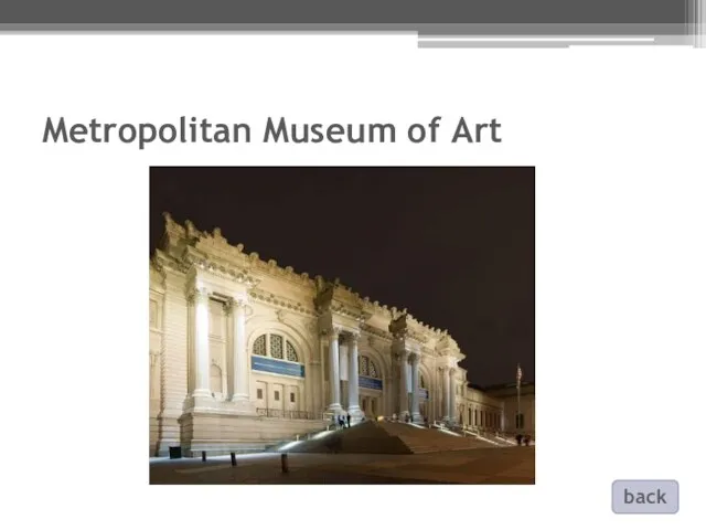 Metropolitan Museum of Art back