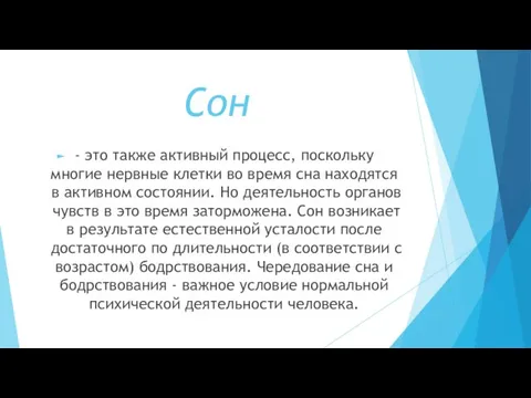 Сон - это также активный процесс, поскольку многие нервные клетки во время сна