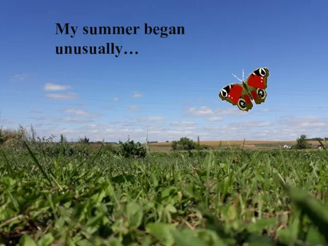 My summer began unusually…