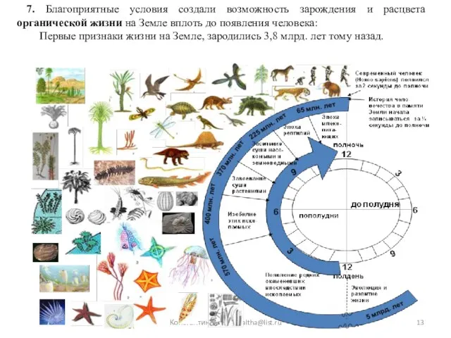 Константинова Т.В. caltha@list.ru 7. Благоприятные условия создали возможность зарождения и