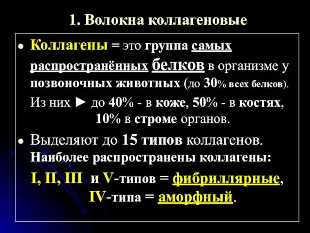 1. Волокна коллагеновые Коллагены = это группа самых распространённых белков