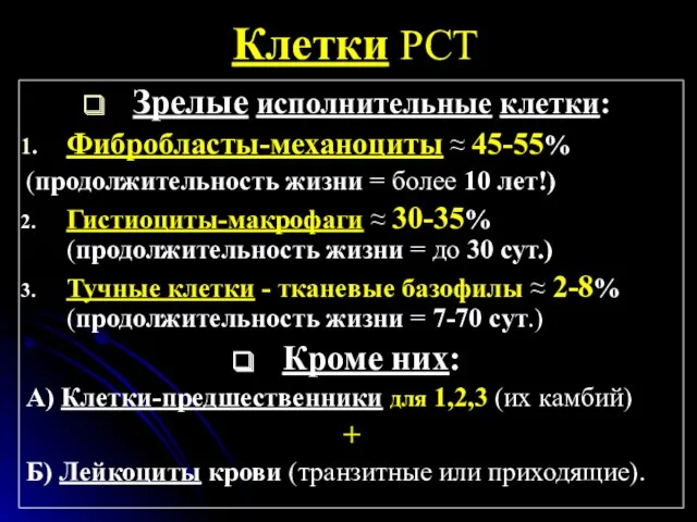 Клетки РСТ Зрелые исполнительные клетки: Фибробласты-механоциты ≈ 45-55% (продолжительность жизни