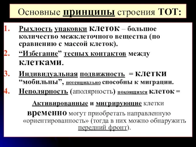 Основные принципы строения ТОТ: Рыхлость упаковки клеток – большое количество