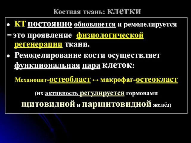 Костная ткань: клетки КТ постоянно обновляется и ремоделируется = это