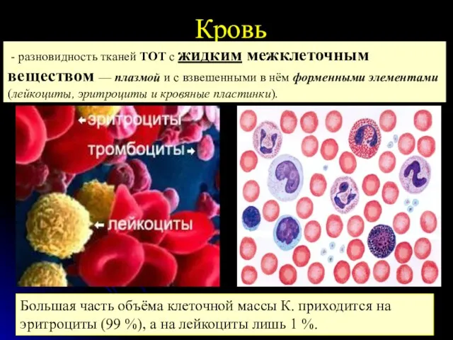 Кровь - разновидность тканей ТОТ с жидким межклеточным веществом —