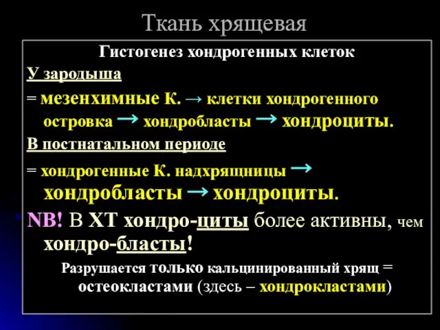 Ткань хрящевая Гистогенез хондрогенных клеток У зародыша = мезенхимные К.