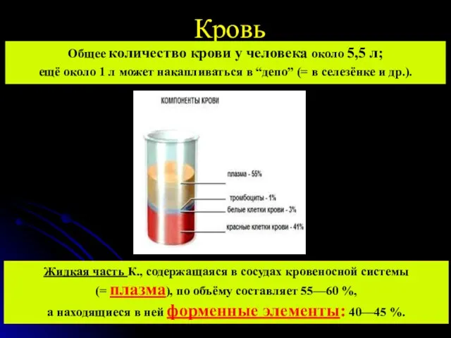 Кровь Общее количество крови у человека около 5,5 л; ещё