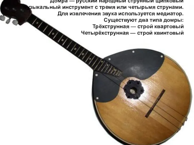 До́мра — русский народный струнный щипковый музыкальный инструмент с тремя