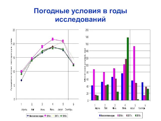 Погодные условия в годы исследований