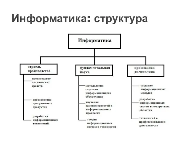 Информатика: структура