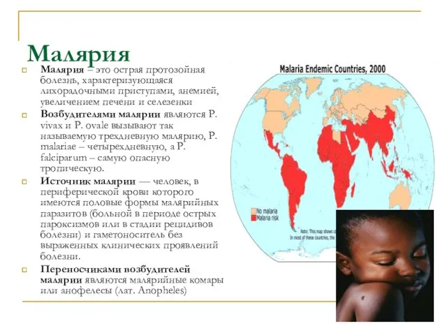 Малярия Малярия – это острая протозойная болезнь, характеризующаяся лихорадочными приступами,