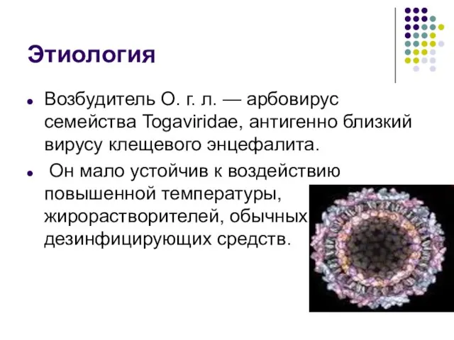 Этиология Возбудитель О. г. л. — арбовирус семейства Togaviridae, антигенно