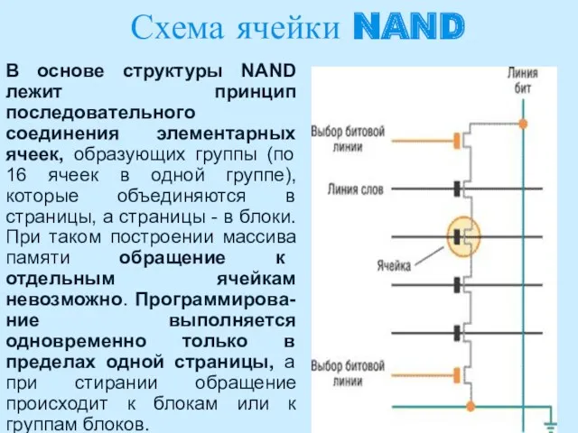 Схема ячейки NAND В основе структуры NAND лежит принцип последовательного соединения элементарных ячеек,