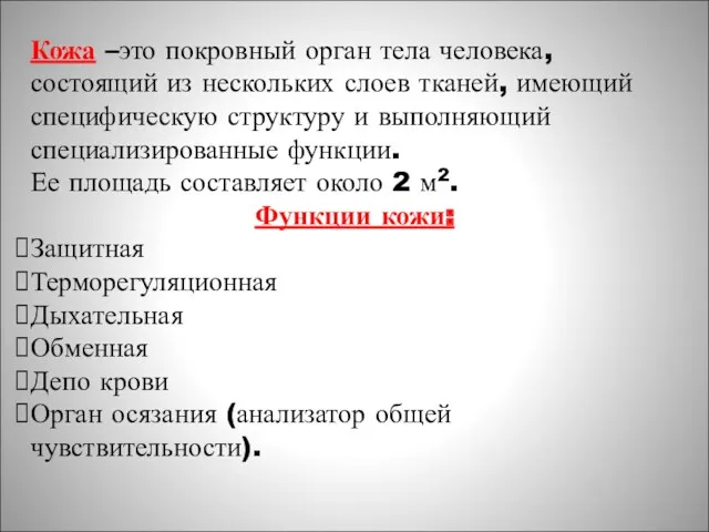 Кожа –это покровный орган тела человека, состоящий из нескольких слоев