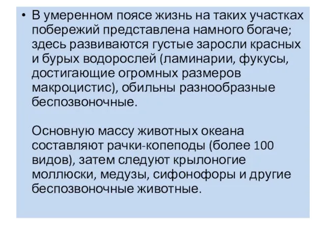 В умеренном поясе жизнь на таких участках побережий представлена намного