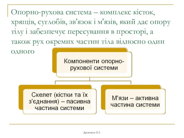 Десятник О.І. Опорно-рухова система – комплекс кісток, хрящів, суглобів, зв’язок і м'язів, який