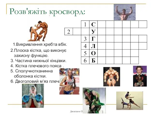 Десятник О.І. Розв'яжіть кросворд: 1.Викривлення хребта вбік. 2.Плоска кістка, що виконує захисну функцію.