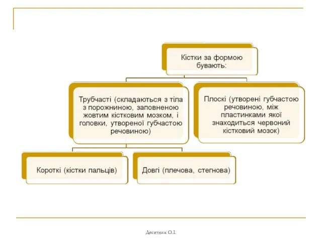 Десятник О.І.