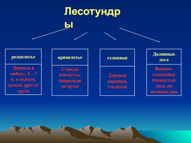 Лесотундры