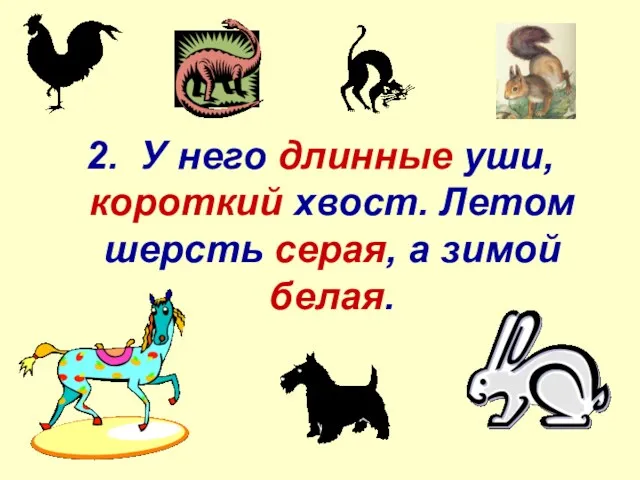 2. У него длинные уши, короткий хвост. Летом шерсть серая, а зимой белая.