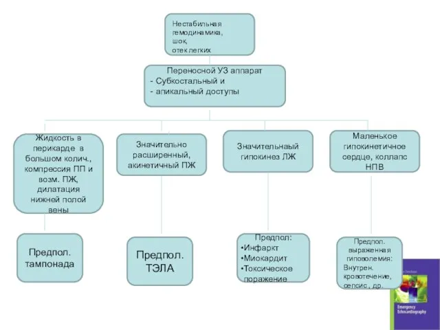 Переносной УЗ аппарат - Субкостальный и - апикальный доступы Жидкость