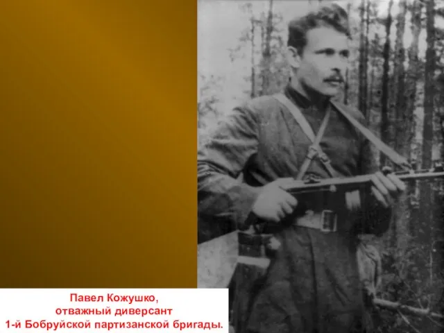 Павел Кожушко, отважный диверсант 1-й Бобруйской партизанской бригады.