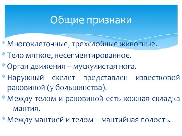 Многоклеточные, трехслойные животные. Тело мягкое, несегментированное. Орган движения – мускулистая