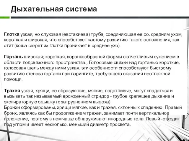 Дыхательная система Глотка узкая, но слуховая (евстахиева) труба, соединяющая ее