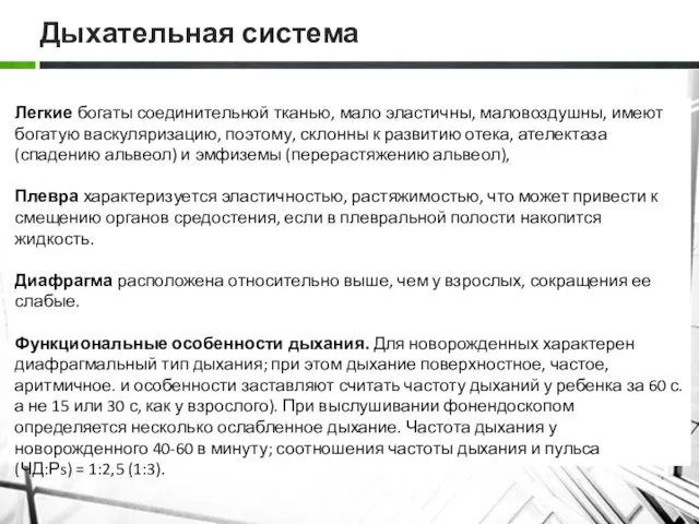 Дыхательная система Легкие богаты соединительной тканью, мало эластичны, маловоздушны, имеют