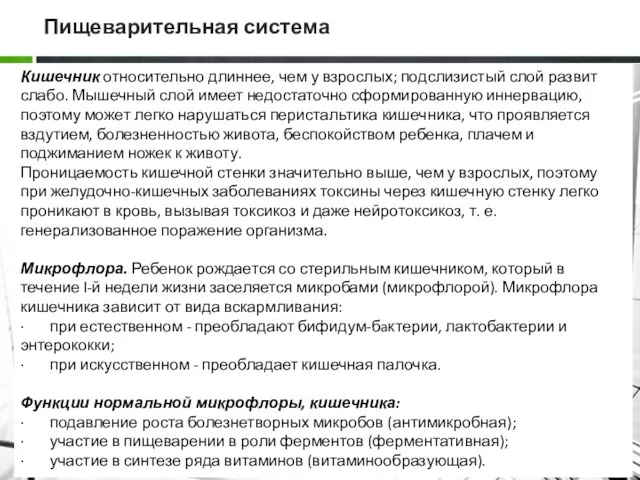 Пищеварительная система Кишечник относительно длиннее, чем у взрослых; подслизистый слой