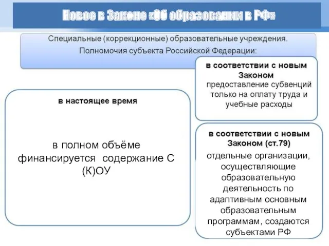 в полном объёме финансируется содержание С(К)ОУ отдельные организации, осуществляющие образовательную