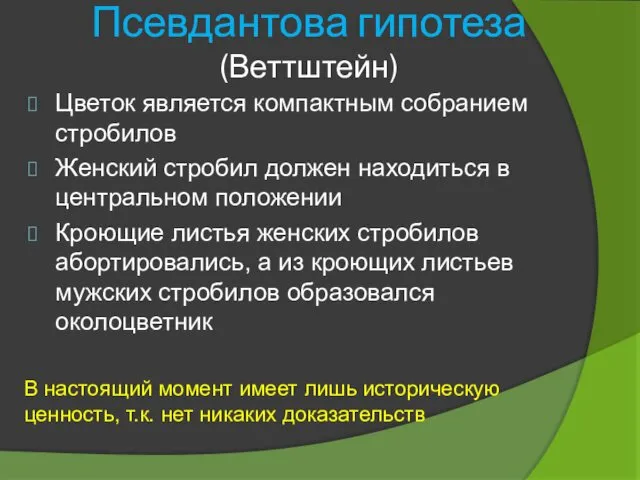 Псевдантова гипотеза (Веттштейн) Цветок является компактным собранием стробилов Женский стробил