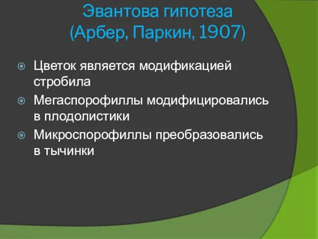 Цветок является модификацией стробила Мегаспорофиллы модифицировались в плодолистики Микроспорофиллы преобразовались