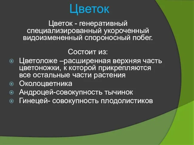 Цветок Цветок - генеративный специализированный укороченный видоизмененный спороносный побег. Состоит из: Цветоложе –расширенная