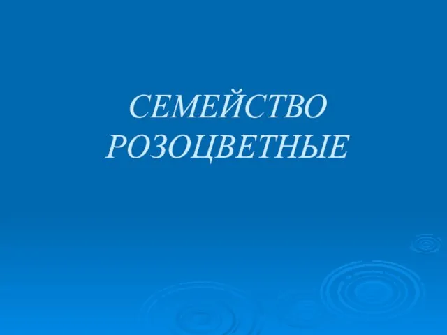 Семейство Розоцветные