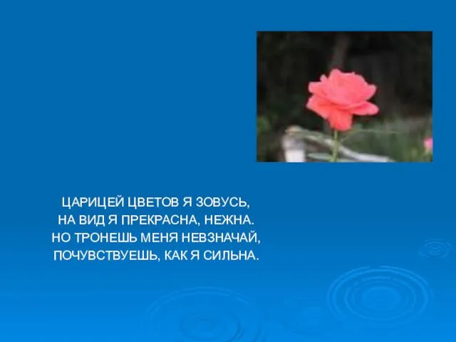 ЦАРИЦЕЙ ЦВЕТОВ Я ЗОВУСЬ, НА ВИД Я ПРЕКРАСНА, НЕЖНА. НО