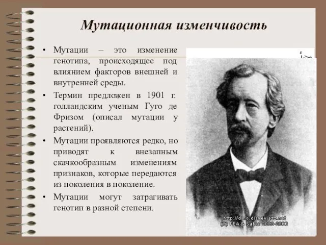 Мутационная изменчивость Мутации – это изменение генотипа, происходящее под влиянием