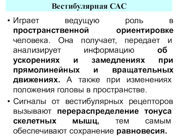 Вестибулярная САС Играет ведущую роль в пространственной ориентировке человека. Она