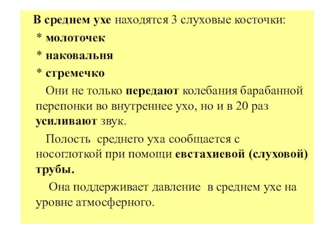 В среднем ухе находятся 3 слуховые косточки: * молоточек *