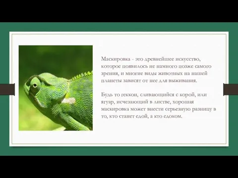 Маскировка - это древнейшее искусство, которое появилось не намного позже