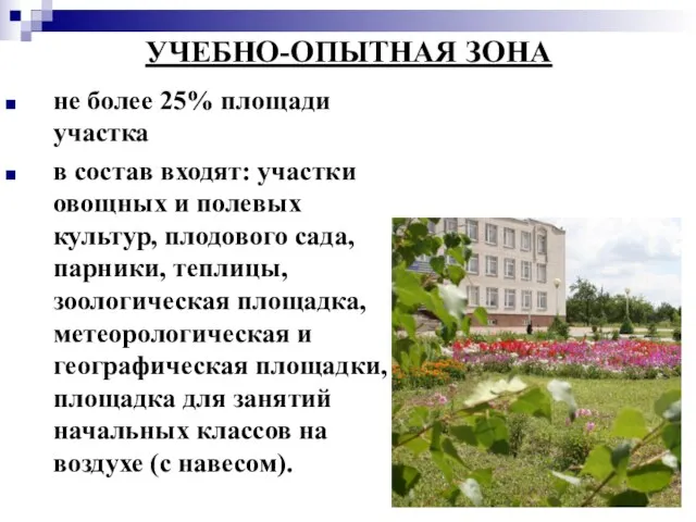 УЧЕБНО-ОПЫТНАЯ ЗОНА не более 25% площади участка в состав входят: