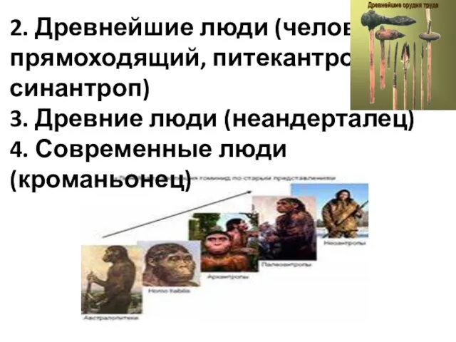 2. Древнейшие люди (человек прямоходящий, питекантроп, синантроп) 3. Древние люди (неандерталец) 4. Современные люди (кроманьонец)