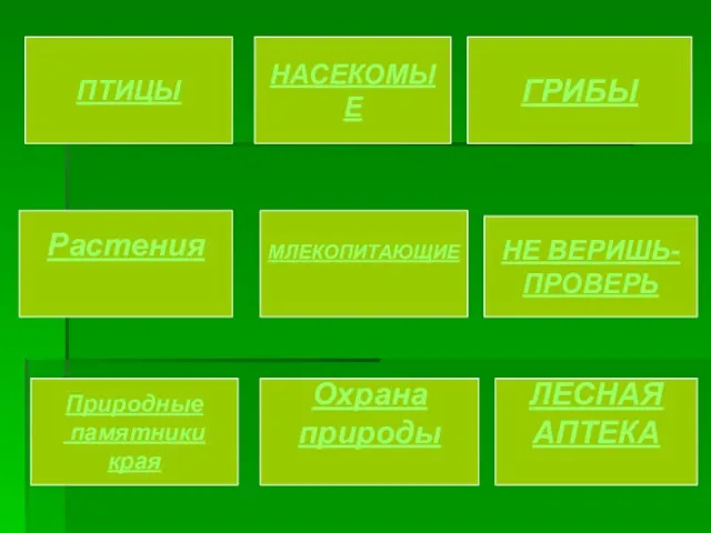 ПТИЦЫ НАСЕКОМЫЕ ГРИБЫ Растения МЛЕКОПИТАЮЩИЕ НЕ ВЕРИШЬ- ПРОВЕРЬ Природные памятники края Охрана природы ЛЕСНАЯ АПТЕКА