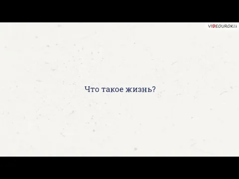 Что такое жизнь?