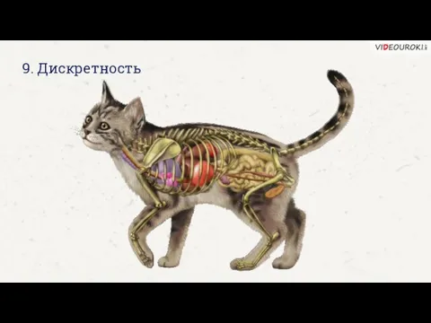 9. Дискретность