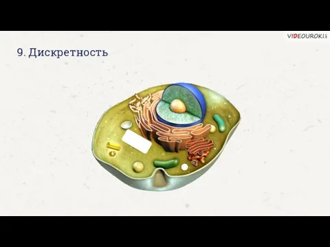 9. Дискретность